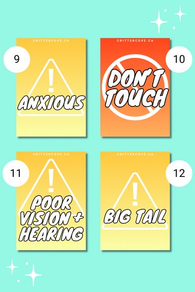 CONVENTION & ACCESSIBILITY BADGES